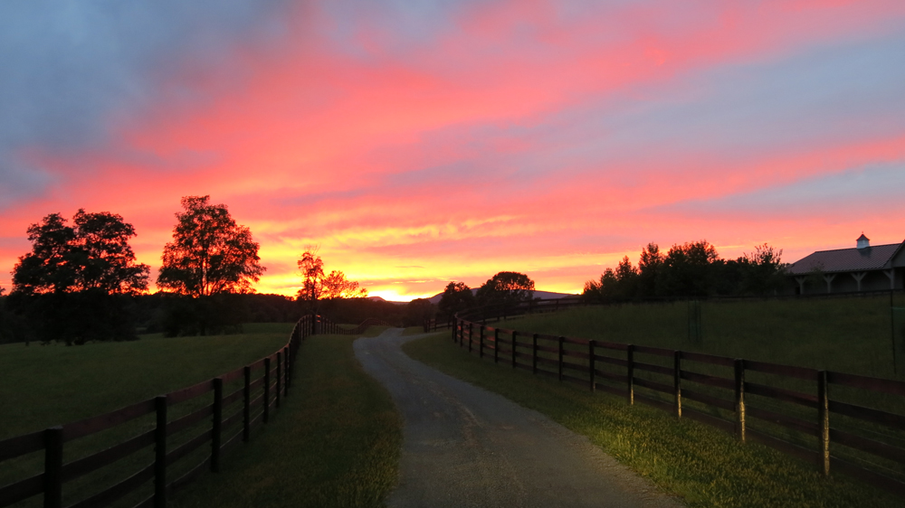 Sunset on farm