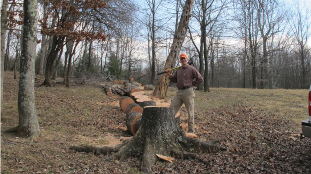 Jeremy cuts some firewood