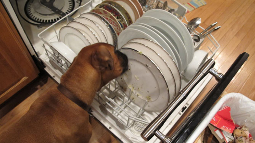 dishwasher pre-rinse cycle