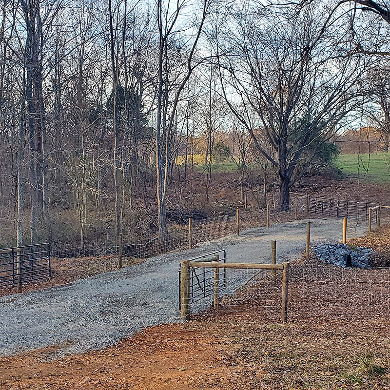the cattle crossing is finally fenced