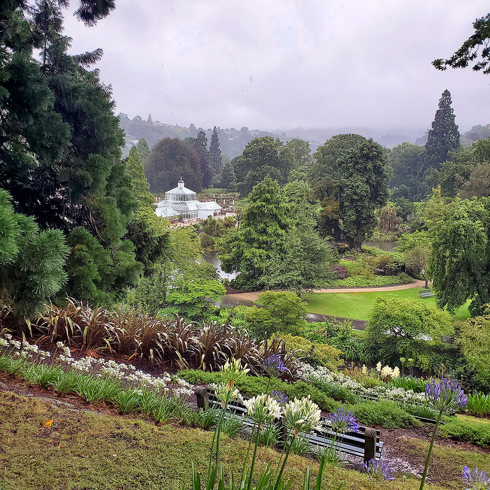 Dunedin botantical garden in the rain
