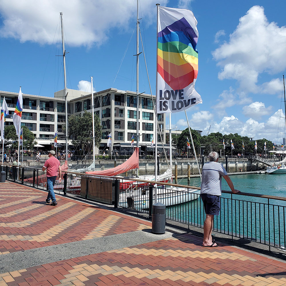 Touring Auckland Harbor