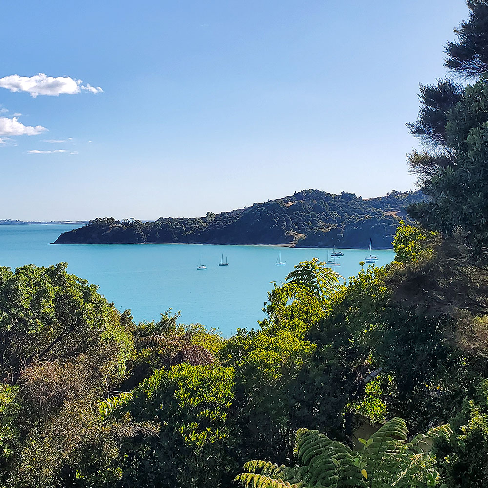 View from our porch on Waiheke island