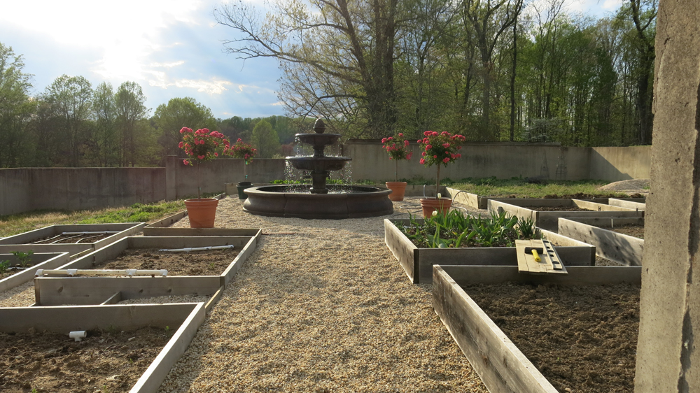 Garden beds all planted