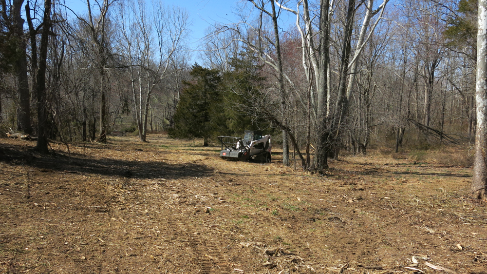 Ready to plant a pasture