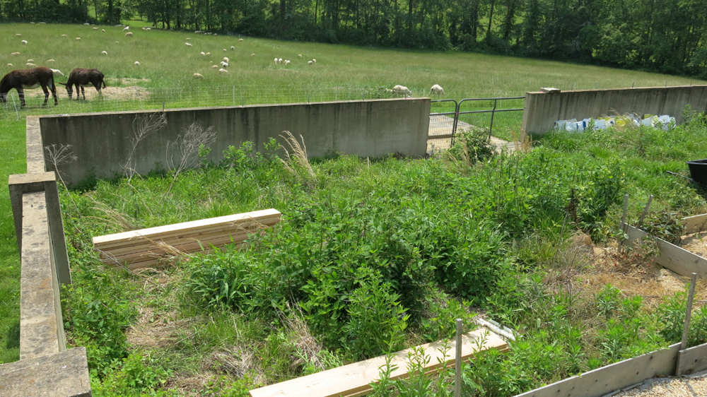 Next section of the kitchen garden to be finished