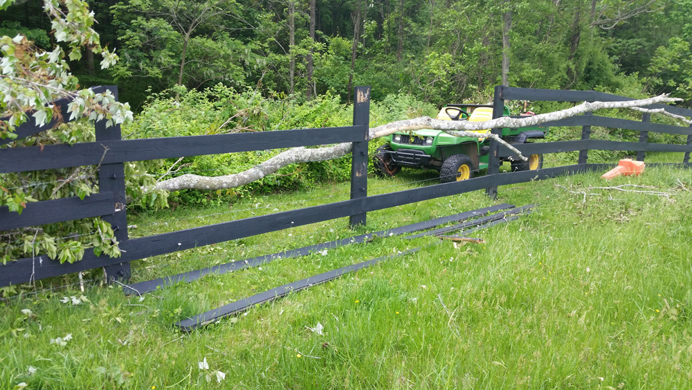 repairing damaged fences