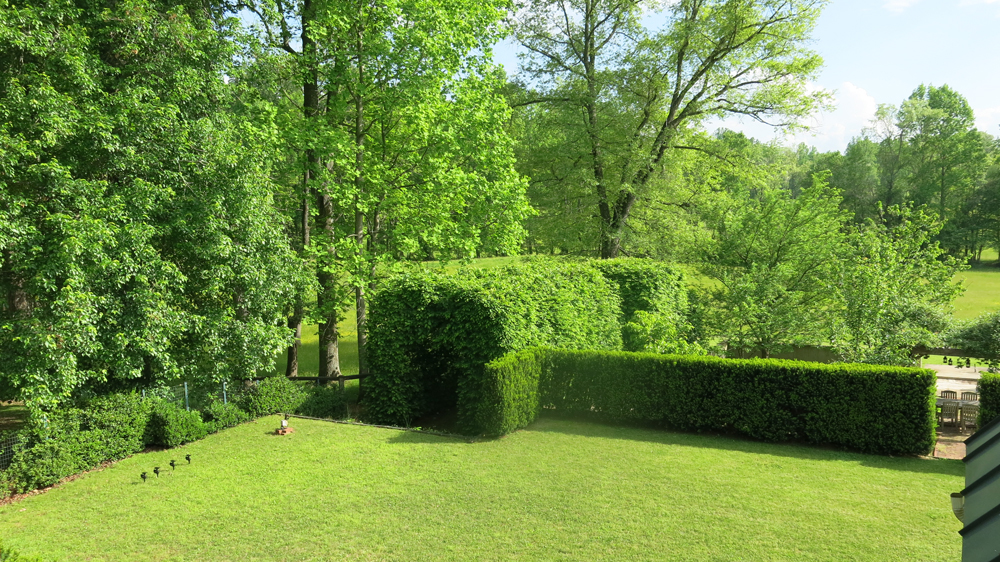 hornbeam tunnel and yew hedge