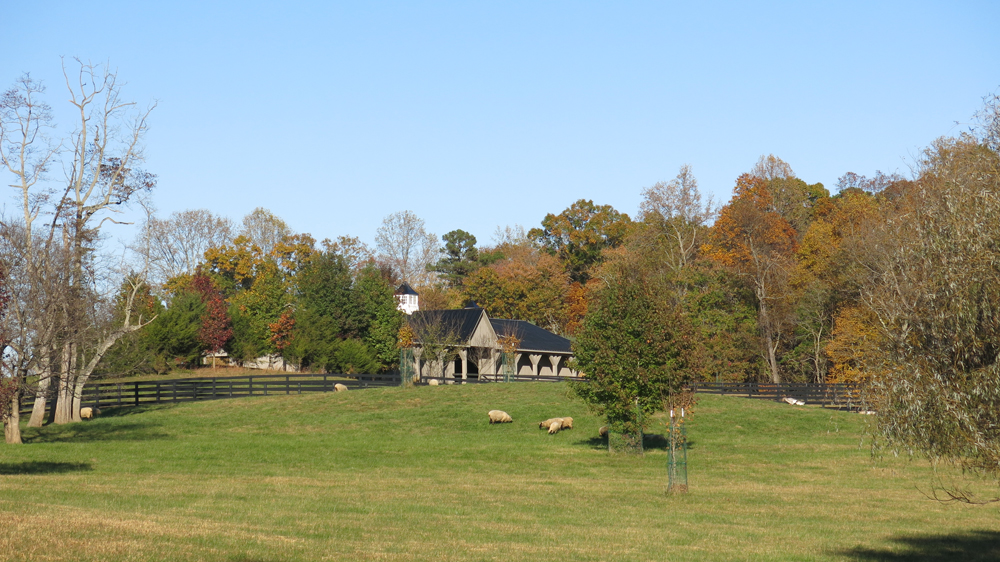 view of barn from pond paddock