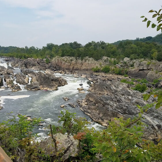 imagine if the water were higher