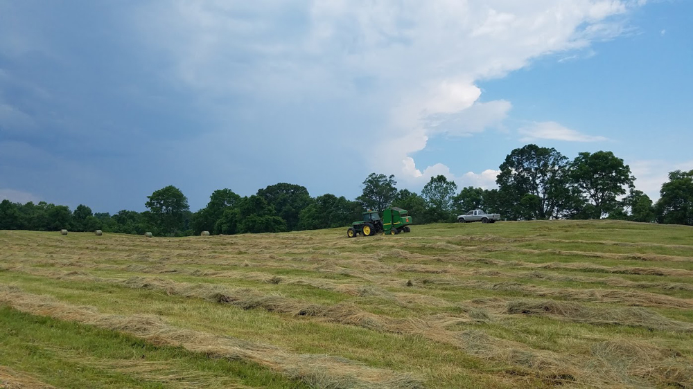 Will we get the hay baled before it rains?