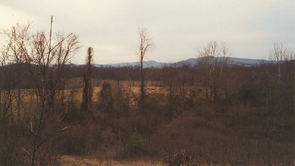the view from Hammock Hill in 1996