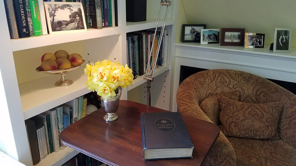 bringing a bit of Spring inside