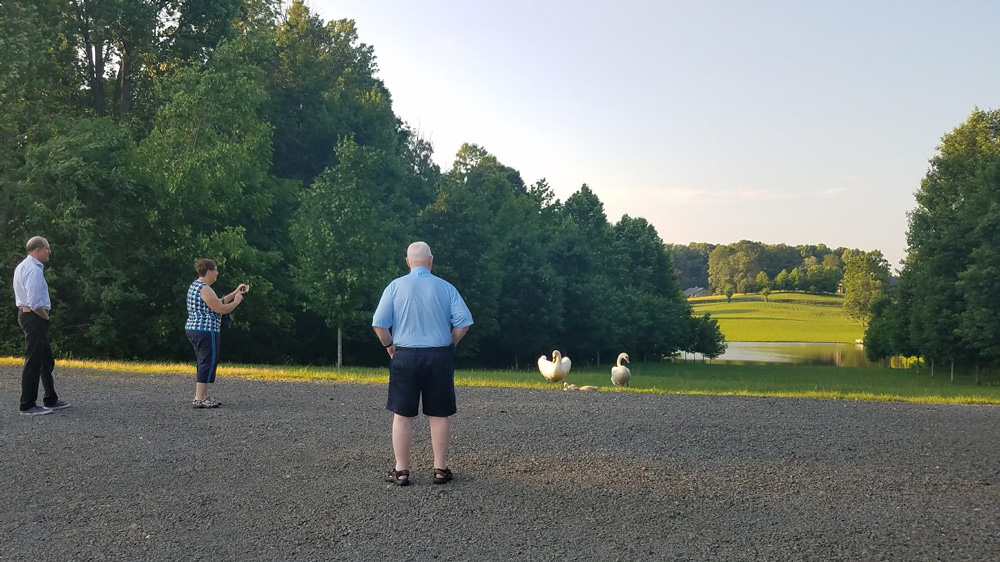 Uncle Roy and Nancy come to visit our swans