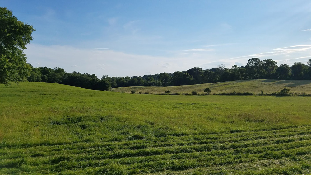 hayfield's done - now bush-hogging pastures