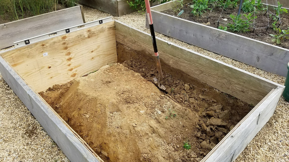 digging out the second goldfish pond