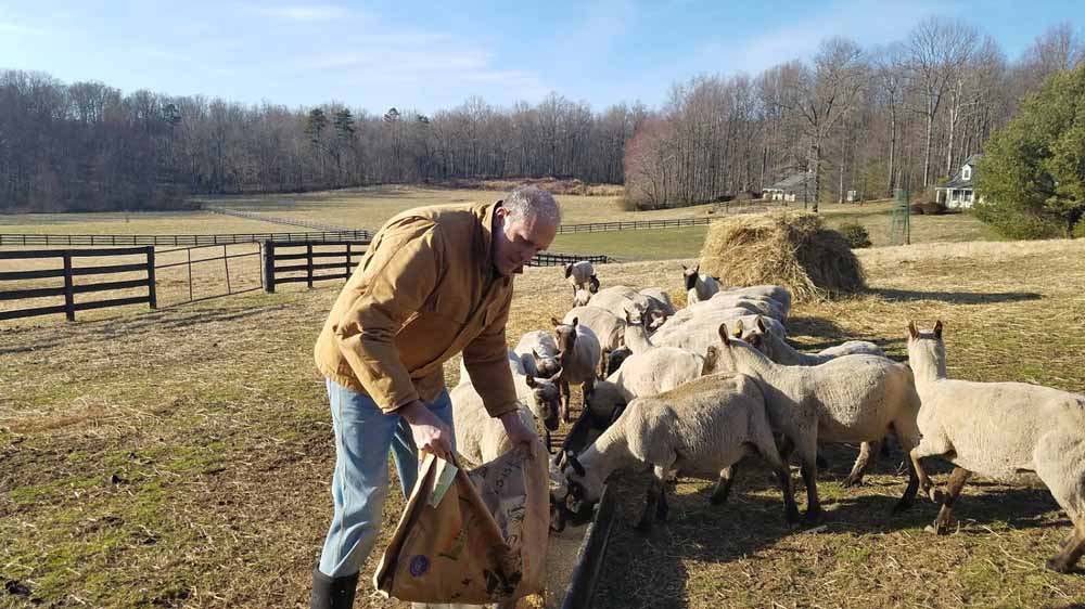 Farmer Keith feeding the girls