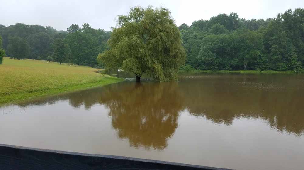 flooded pond