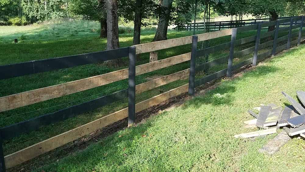 New fencing!