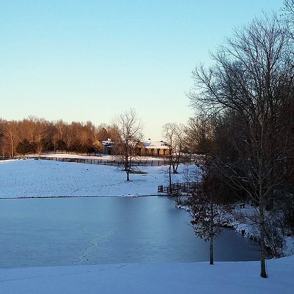 nearly frozen pond
