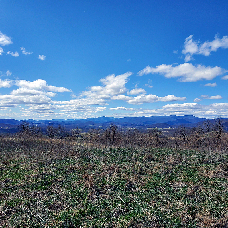 the view from Hickerson Mountain