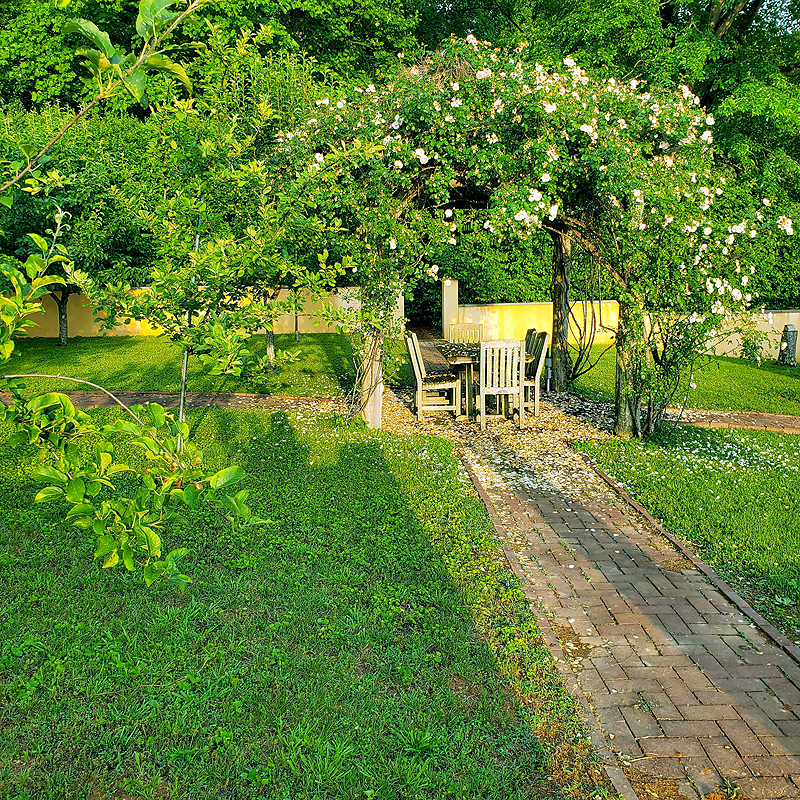 The pergola in the orchard