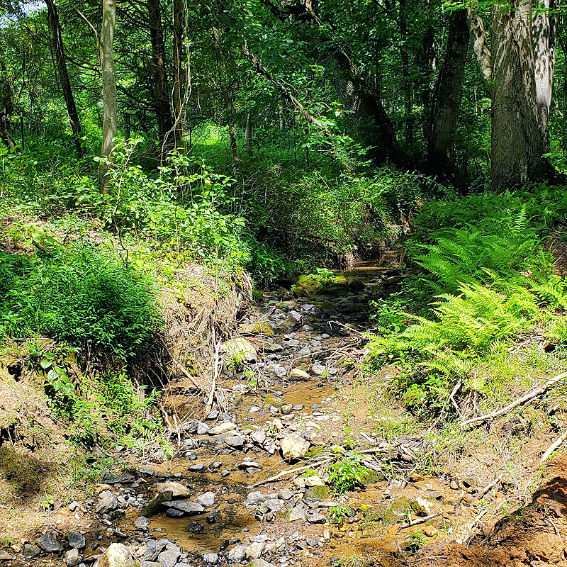 all just to cross this stream