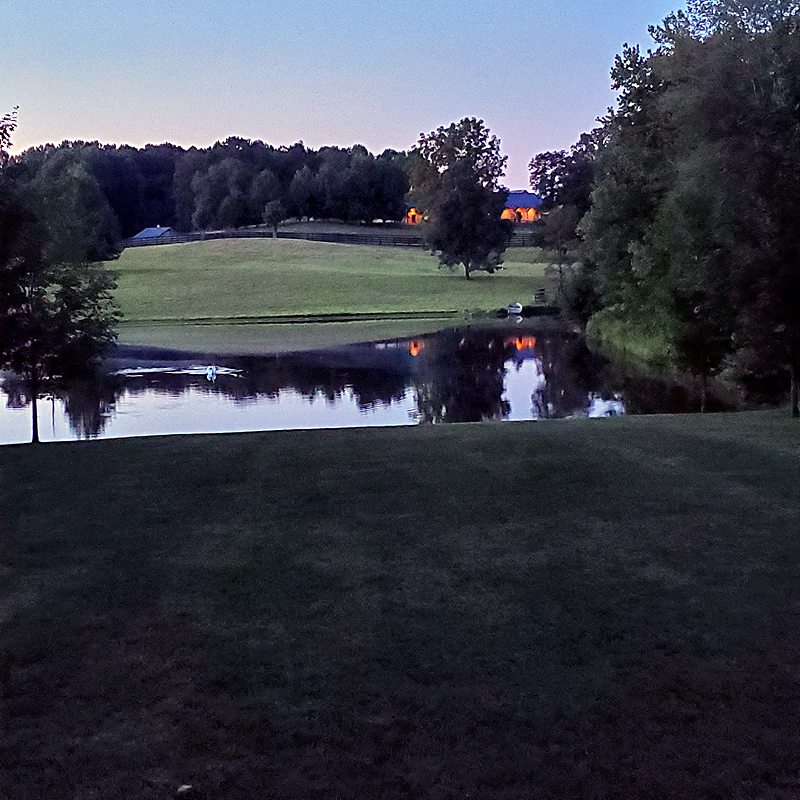 Twilight