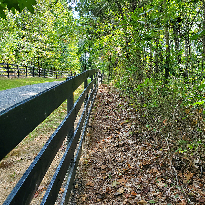 nicely trimmed fenceline