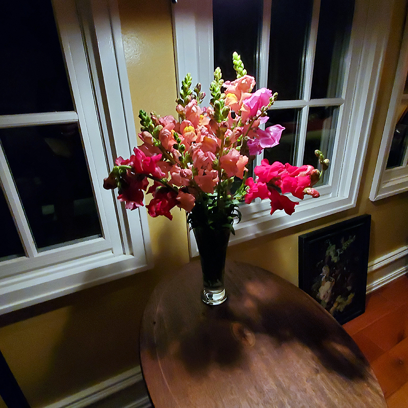 Hard to believe flowers from the garden lasting into November
