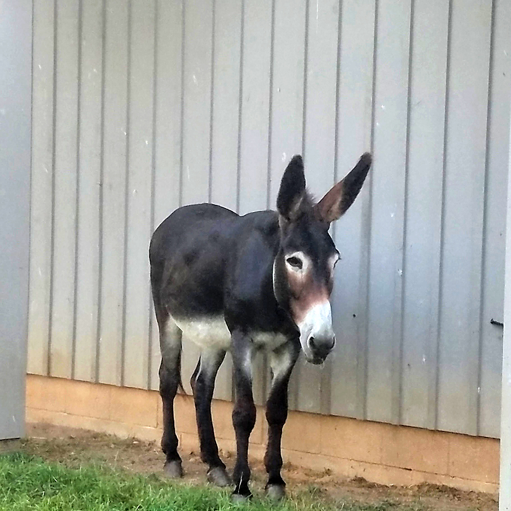 20160701_195621-EDIT